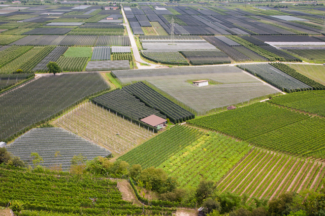 Immobilie im Außenbereich kaufen: Chancen und Hürden