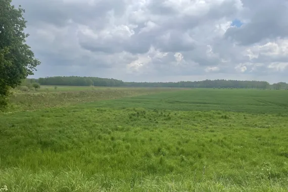 3 bis 50 ha Ackerland zu verkaufen