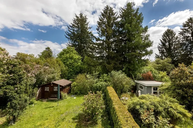 Blick in den Garten