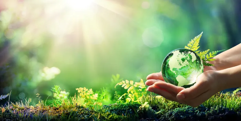 Neue Regeln gegen Greenwashing