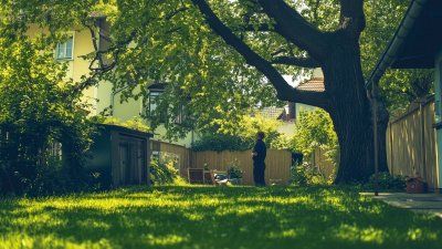 Gemeinschaftsgärten: Mehrwert für Nachbarschaften und Immobilien