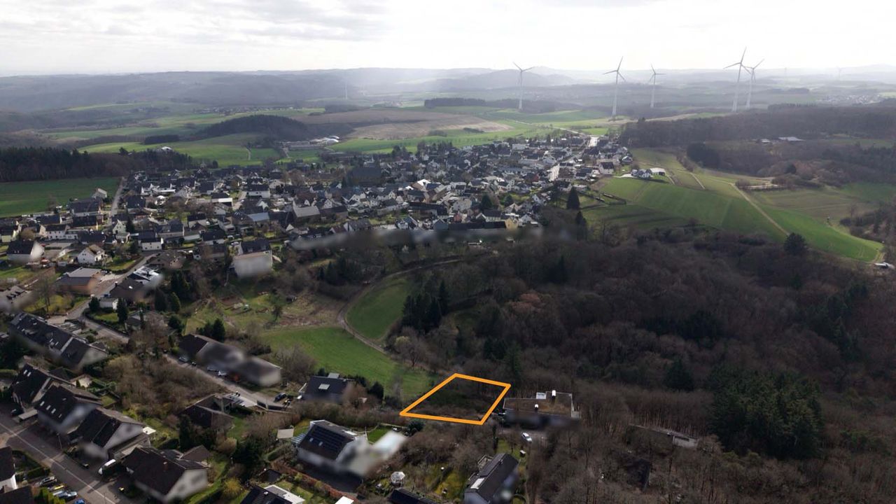 Luftbild 1