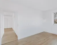 Zimmer III