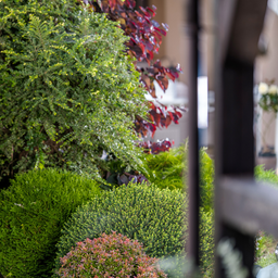 Wichtige Entscheidung zur Betriebskostenabrechnung