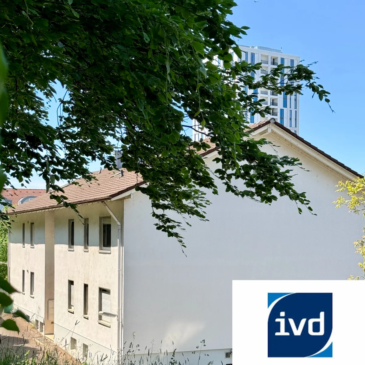 Immobilie Lörrach