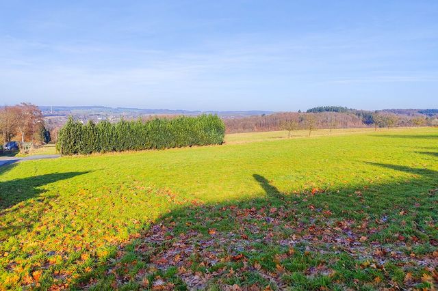 Umgebung