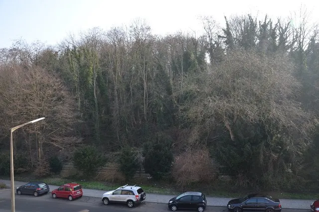 Aussicht von der Terrasse