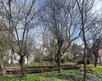 IMG_1198