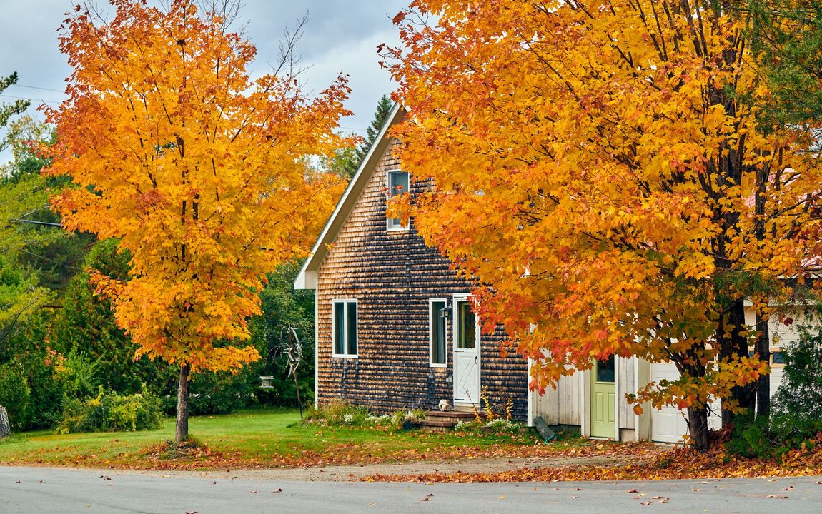Gartenarbeit im Herbst: Rechte und Pflichten an der Grundstücksgrenze