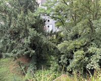 Balkonblick in die Gärten