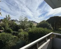 Blick ins grün