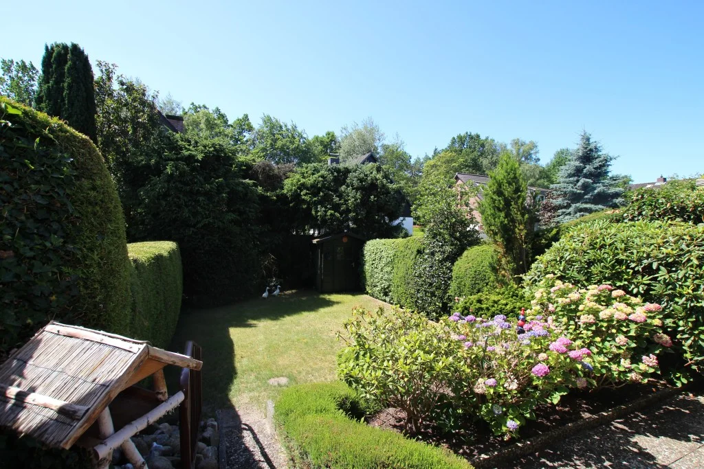 Blick in den Garten