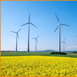 35 ha Ackerfläche im Raum Demmin

– mit 2 Windkraftanlagen –