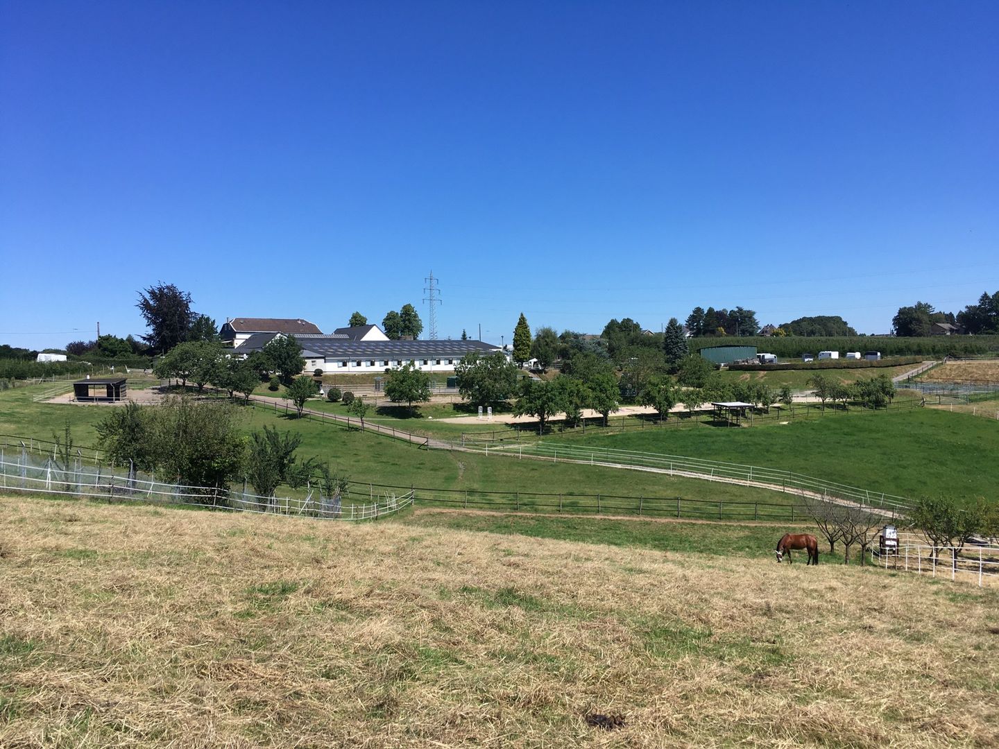 Reitanlage auf 11,5 ha zu verkaufen