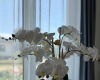 Detailbild