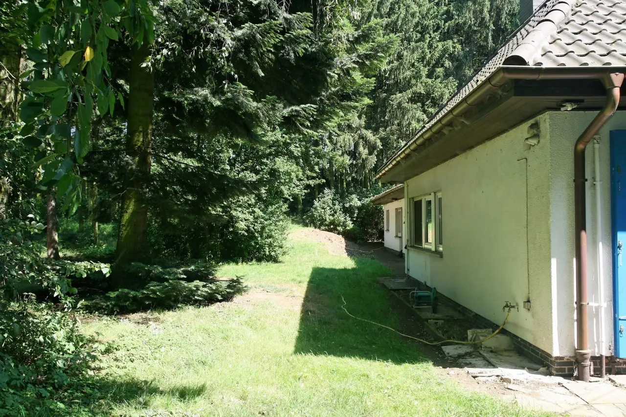 IMG-20251020-WA0032