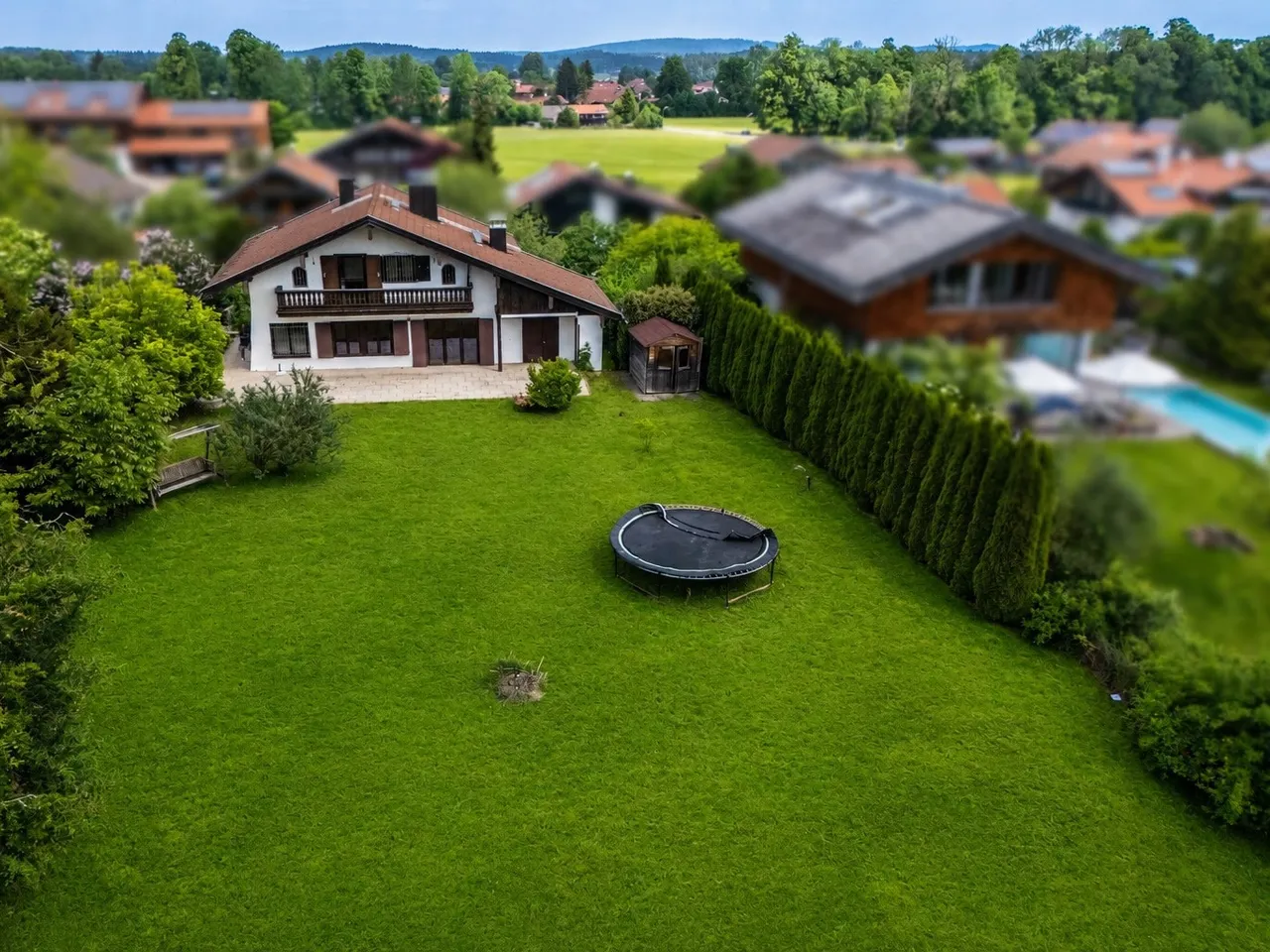 Blick auf Altbestand