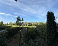 Garten an der Terrasse