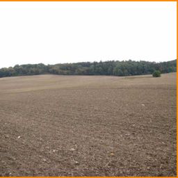 8,5 ha gutes Ackerland 
bei Teterow zu verkaufen