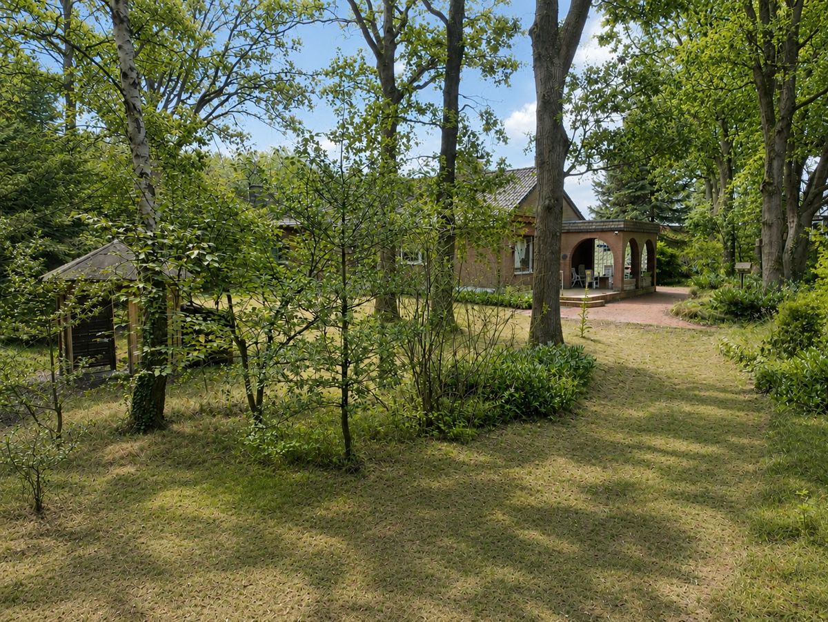 Blick vom Waldweg