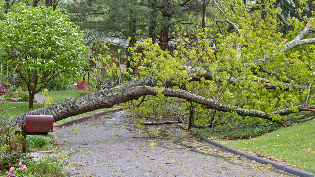 Sturmschäden absichern: Die richtigen Versicherungen und wichtige Tipps