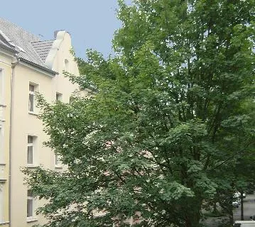 Renovierte 2-Zimmer-Wohnung in der Lange Str. 79 zu vermieten! - Foto 4