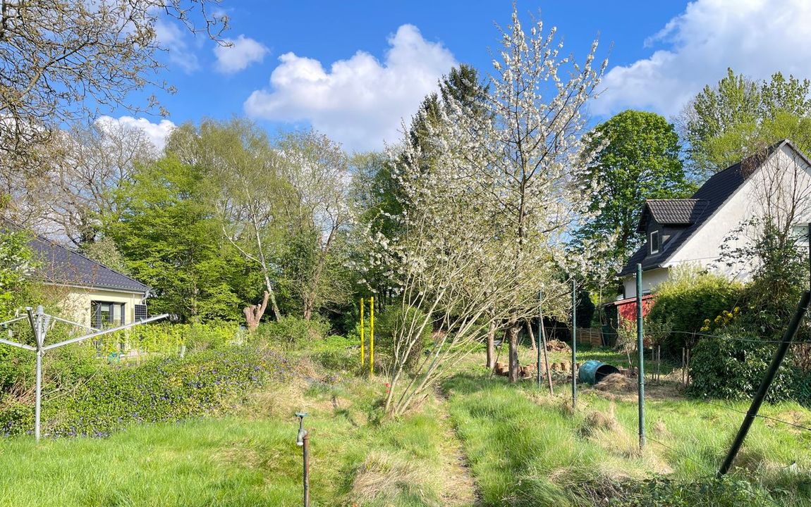 Baupartner gesucht – Bauplatz für ein Einfamilienhaus in ruhiger Parklage