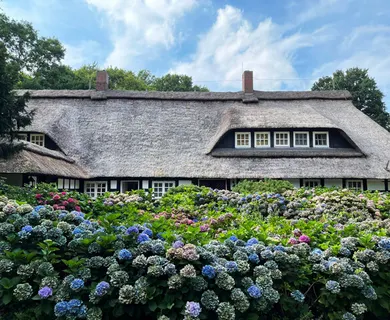 14 ha Fachwerkjuwel im Grünen