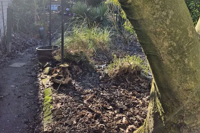 Ein Platz an der Sonne...