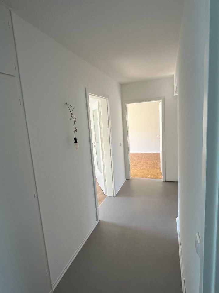 Daniel Zell Immobilien