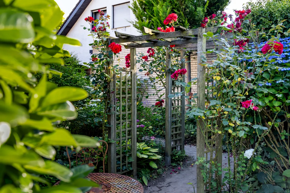 Garten Impression