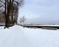 Rheinpromenade (unmittelbar hinter dem Haus)