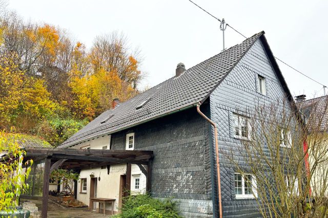 Seitenansicht 