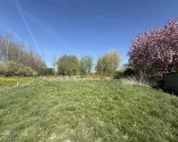 Großer Garten hinterm Haus