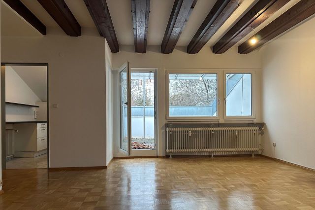 Wohn-und Esszimmer / Dachterrasse 