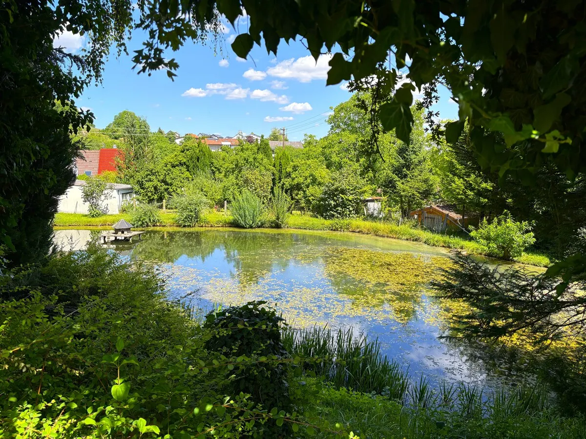 Schwimmteich/Fischwasser