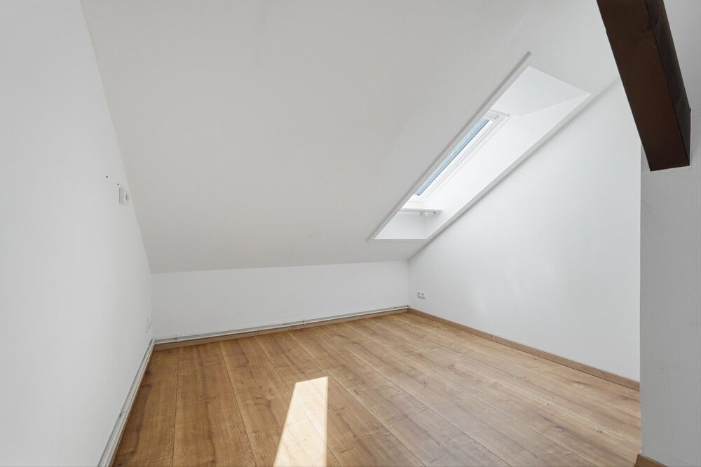 Zimmer DG_3