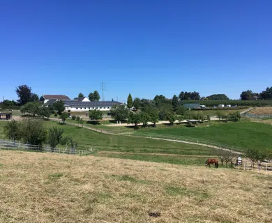 Reitanlage auf 11,5 ha zu verkaufen