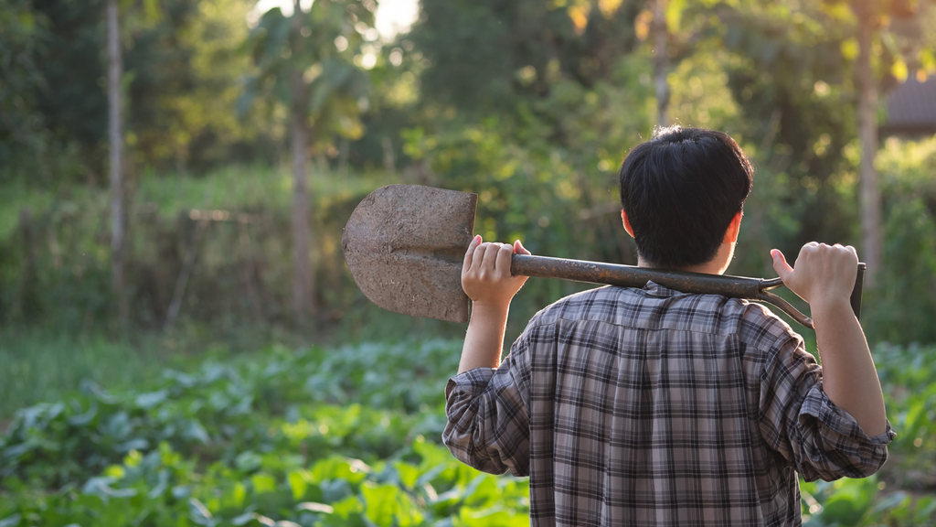 Nützlinge gegen Schädlinge: Wie biologische Helfer Getreidelager schützen