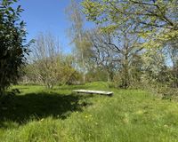 Garten neben dem Haus