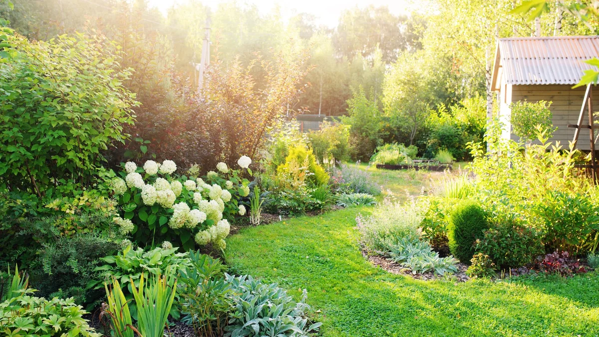 Fit für Hitze und Dürre: 10 Tipps für den klimaresistenten Garten
