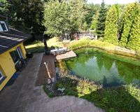 Blick in den Gartenbereich