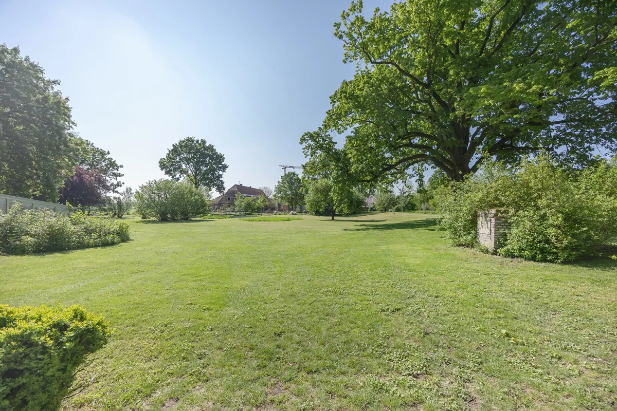 Parklandschaft + Weideflächen