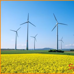 35 ha gutes Ackerland bei Demmin

– Standort mit 2 Windkraftanlagen –