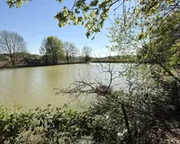 Teich