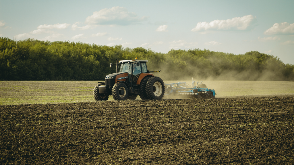 Der Markt für Ackerland 2025: Investieren oder selbst bewirtschaften?