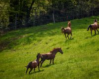 784c79d6-1c1e-4117-9475-7176260cdc84