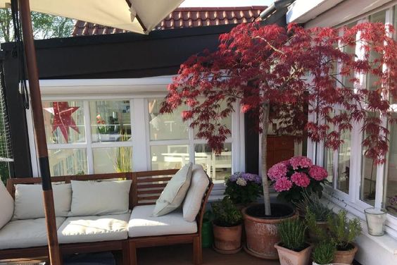 Exklusiv möblierte Penthouse-Wohnung in ruhiger Lage! Barrierefrei mit 2 Badezimmern