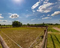 Paddock
