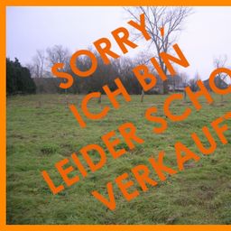 Schönes Grundstück in Golzheim, auch eine Teilung ist möglich!!!
KEINE ZUSÄTZLICHE PROVISION!!